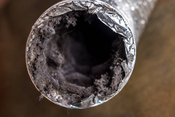 Best Ductwork Cleaning Services  in Leisure Village West, NJ